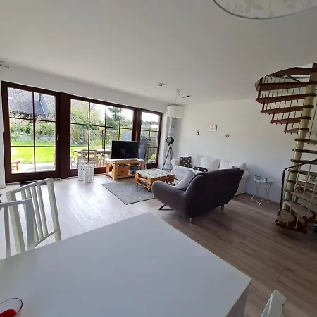 Kleine Robbe Friedrichskoog